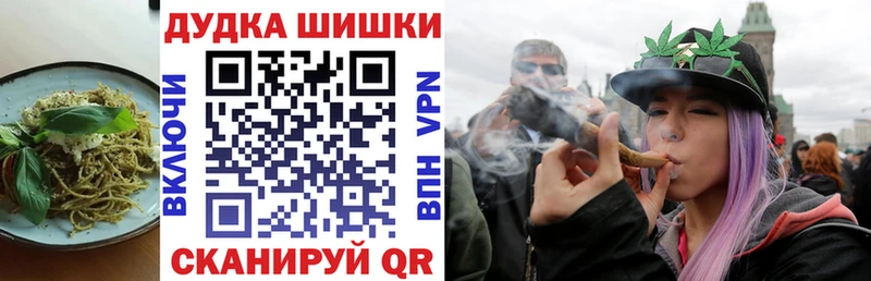 kraken как войти  Строитель  Canna-Cookies марихуана 