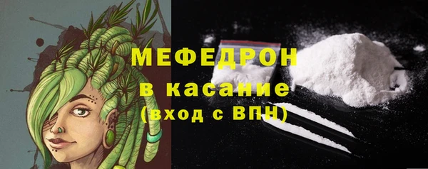 гашик Арсеньев