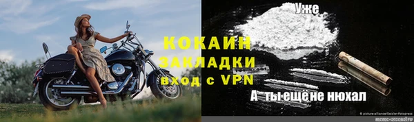 гашик Арсеньев