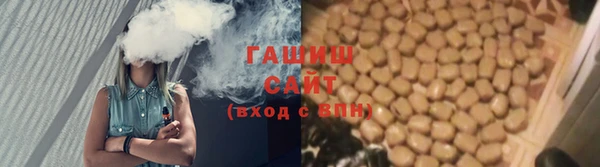гашик Арсеньев