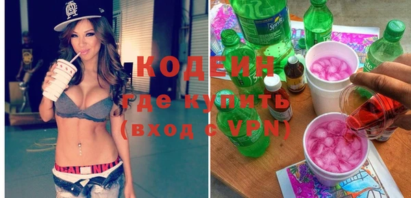 гашик Арсеньев