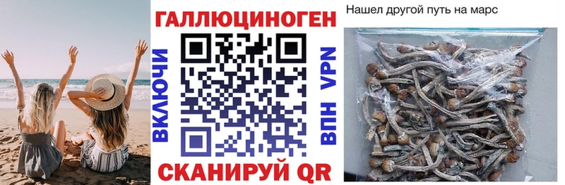 Псилоцибиновые грибы Magic Shrooms  Строитель 